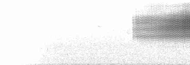 Бледная малая овсянка - ML264843311