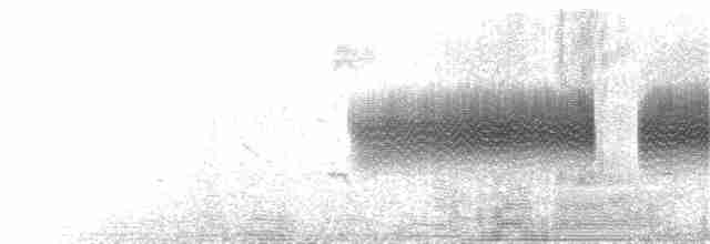 Карнатка бліда - ML264844521