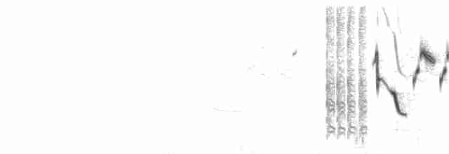 Чернозобая овсянка - ML265248021