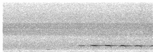 Diard's Trogon - ML265280101