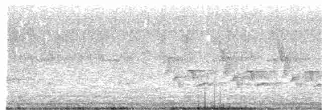 Каролинский крапивник - ML265281721