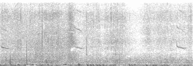 Black-shouldered Kite - ML265301561