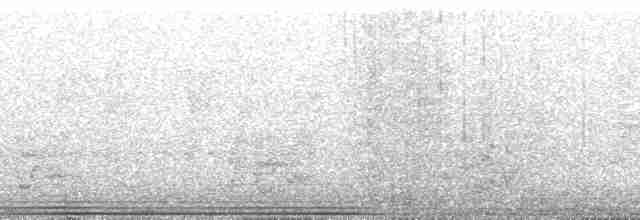 Коричневогруая которра - ML265305