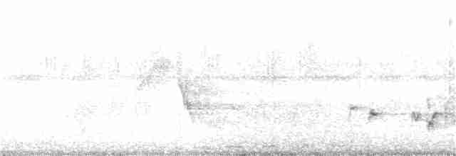 Esmer Arapbülbülü [barbatus grubu] - ML265308591