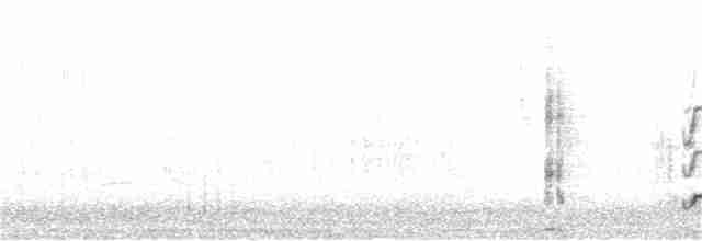 Австралийская султанка - ML265310861