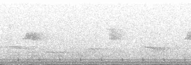 Andennachtschwalbe - ML265312