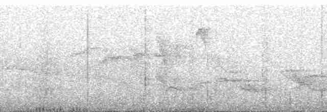 Sarı Karınlı Bülbül Tiranı - ML265352