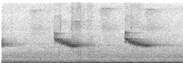 Каролинский крапивник - ML265385191