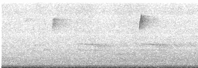 Каролинский крапивник - ML265385331