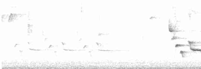 Karolina Çıtkuşu - ML265385531