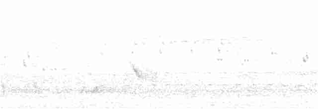 Australian Reed Warbler - ML265429301