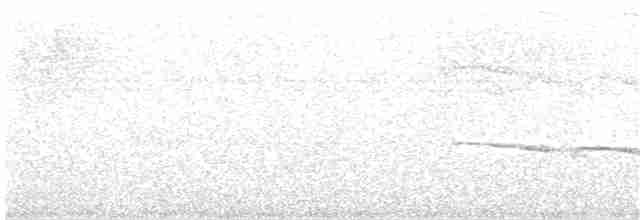 Kestane Tepeli Bekard - ML265552791