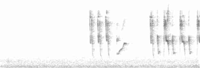 Широкохвістка середземноморська - ML265592161