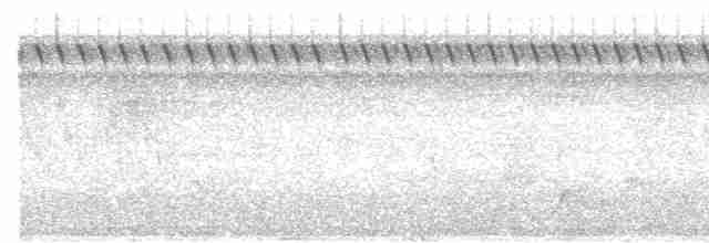 Тиран-інка буроголовий - ML265655231