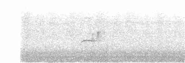 Прибрежный мухолов - ML265657211
