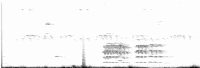 Weißbrustkleiber [lagunae-Gruppe] - ML265707671