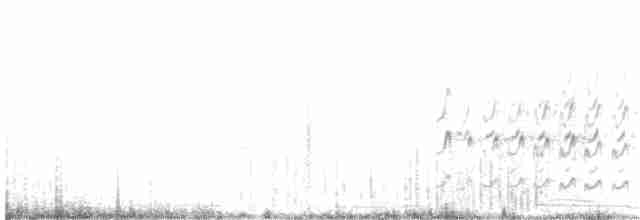 Perdeli Kumkuşu - ML26585271