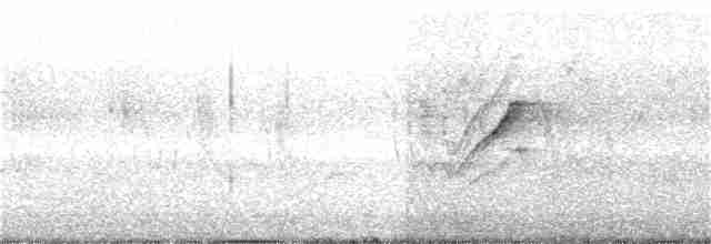 Длиннохвостая нектарница - ML265995561