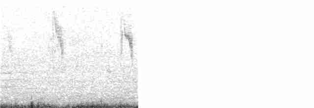 Берингийская жёлтая трясогузка - ML266112321