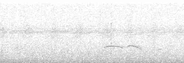 Black-crested Antshrike - ML266154