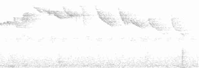 Band-tailed Barbthroat - ML266211851