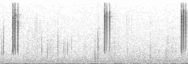 Черноухий колибри - ML266291