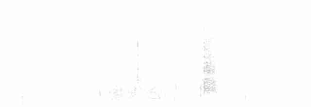 ペルーウミツバメ - ML266333741