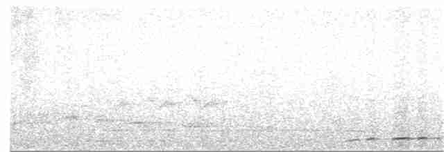 momot modrohrdlý - ML26635311