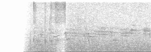 Серогрудый крапивник - ML26636191