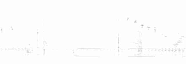 Kestane Gıdılı Tohumcul - ML266366561