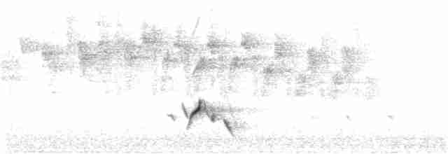 Streifenpanthervogel - ML266419221