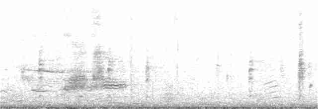 vlhovec červenokřídlý - ML266455991