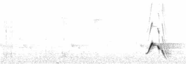 Streifenpanthervogel (striatus) - ML266649741