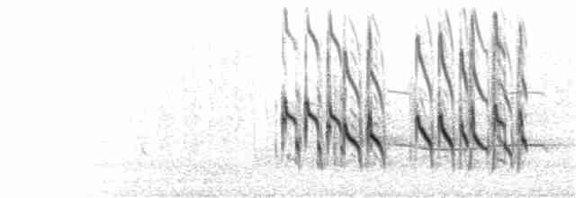 Короткоклювый бекасовидный веретенник (caurinus) - ML266703421