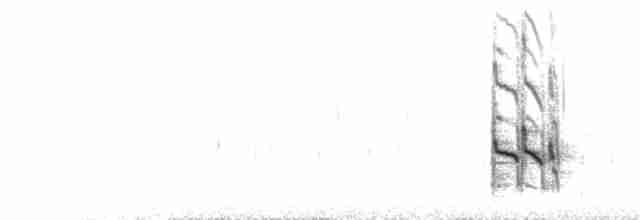 Короткоклювый бекасовидный веретенник (caurinus) - ML266703801