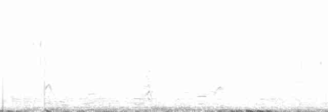 Kanada Kargası (obscurus/griseus) - ML266726831