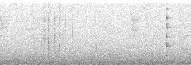 Tangara de Rieffer - ML266735