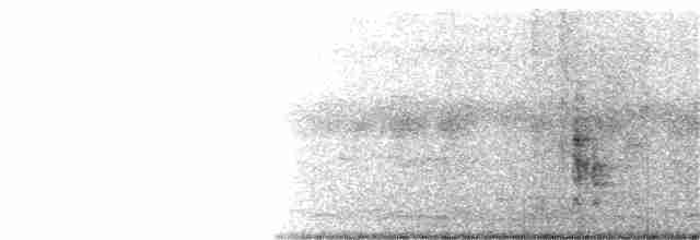 Luzonschneidervogel - ML266741821