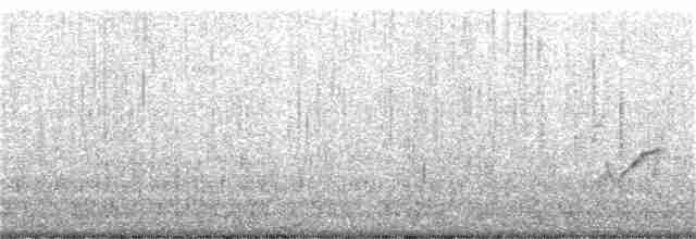 太平洋金斑鴴 - ML266778471