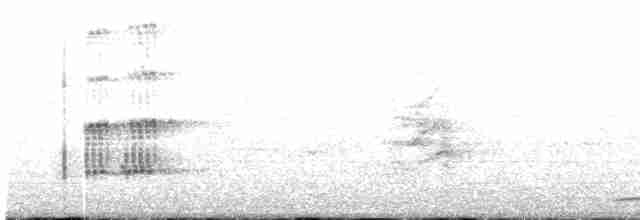 Loggerhead Shrike - ML266790631