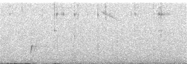 Turuncu Ardıç - ML266858801
