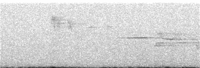Дрізд-короткодзьоб плямистоволий - ML266859561