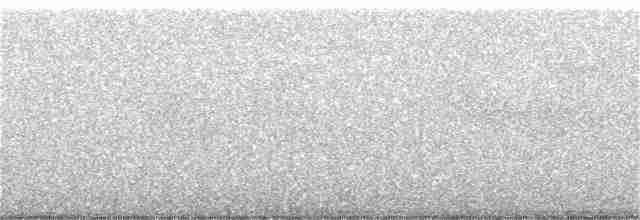 Troglodyte de Baird - ML266861671