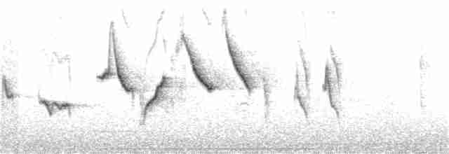 revespurv (unalaschcensis gr.) (sotrevespurv) - ML266907511