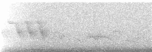 Белохвостая агуйя - ML267101641