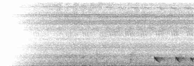 Sulawesinachtschwalbe - ML267143731