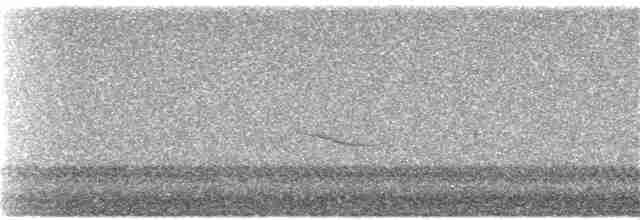 Дрізд-короткодзьоб плямистоволий [група guttatus] - ML267173831