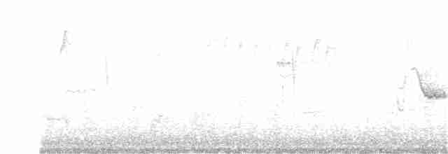 Сероголовый виреон - ML267245111