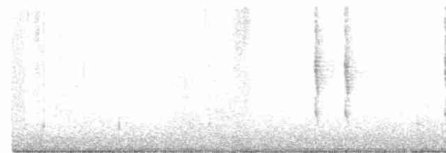 Eurasian Wren (Eurasian) - ML267254791