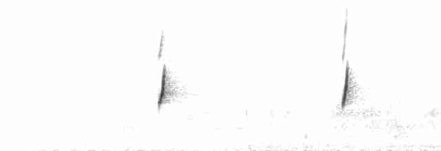 Тёмный мухолов - ML267261361
